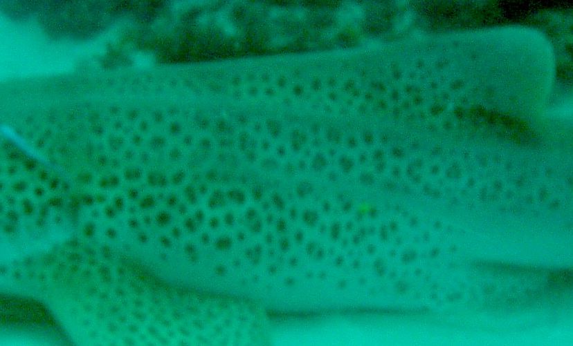 15d2d962-0ebd-4b47-8827-38405f661c68