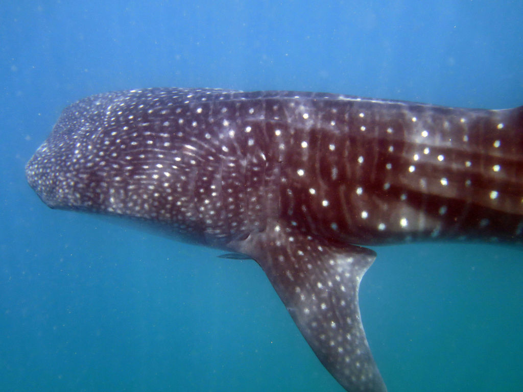 b69ac065-263c-493a-b318-e97d0620c1c3