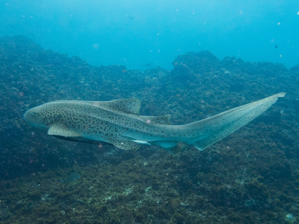 6f3f6863-d4fd-4066-acd1-c0df30963788