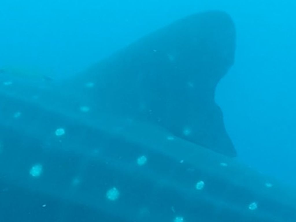 a0ee22d3-f072-4b46-89b4-c872f6ec7377