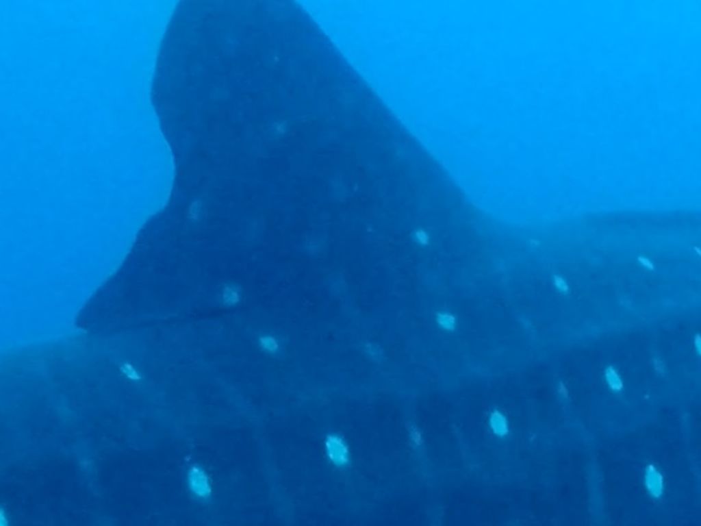 a0ee22d3-f072-4b46-89b4-c872f6ec7377