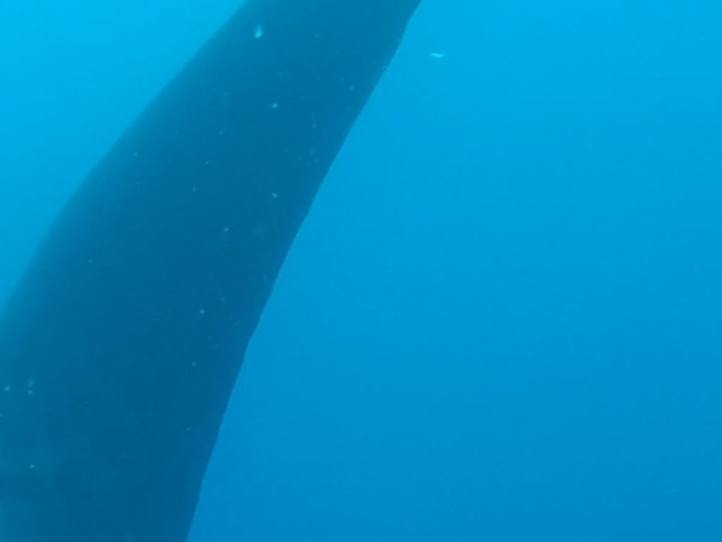 a0ee22d3-f072-4b46-89b4-c872f6ec7377