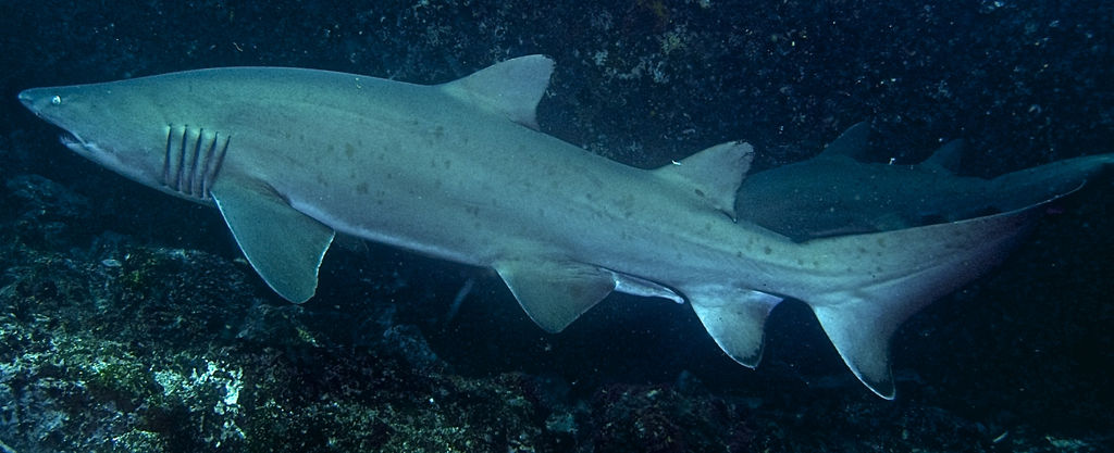 52495bbc-8a98-4c8a-9c18-2dcf3b3abaca