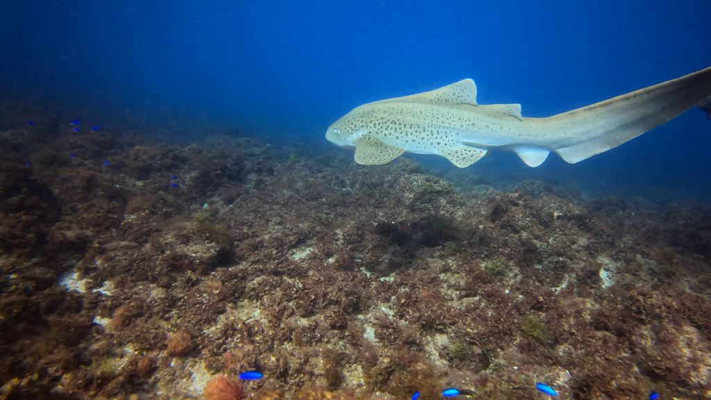 d881fc37-2356-4124-864f-77ccd9ec2098