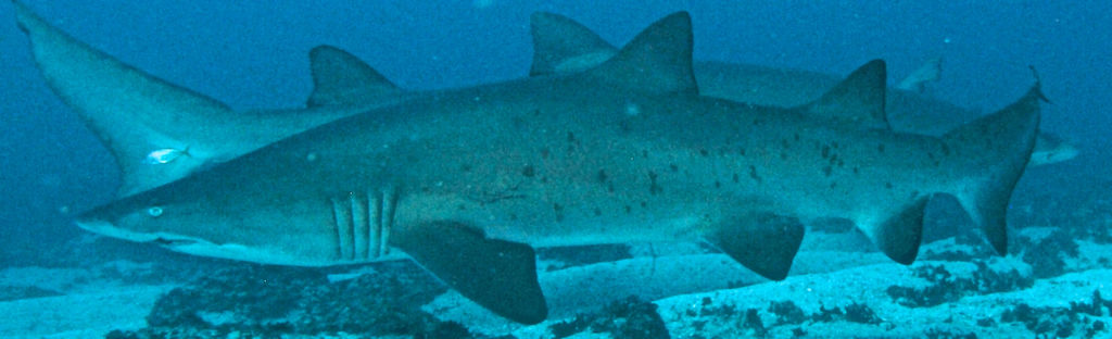 372ead7b-bcdf-4763-8bd2-2a5722b385de