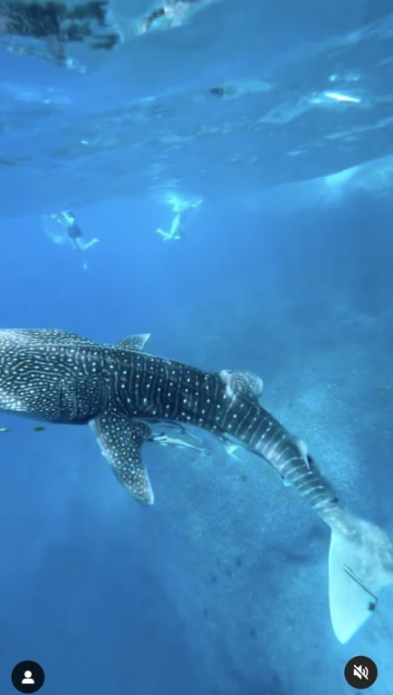 c45d0776-7608-45d0-a526-60b4344cf3b6