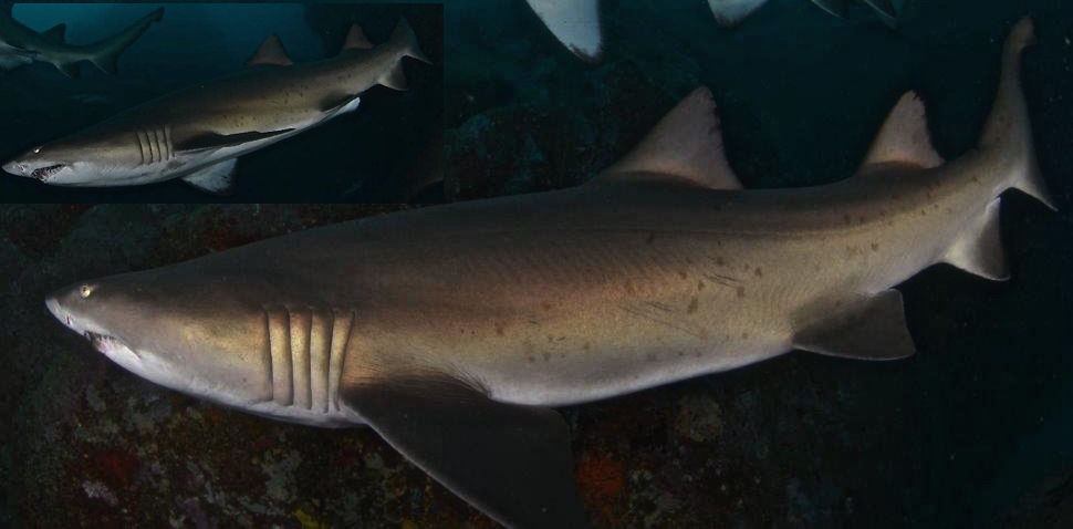 6986e096-a173-478a-bc14-a607718cf157