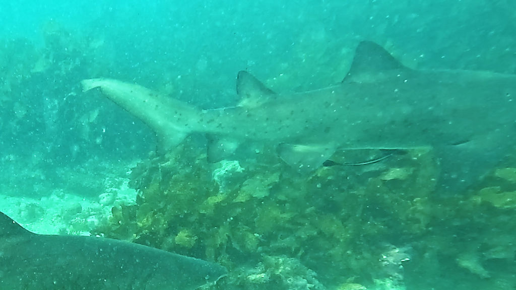 a0a8c8f6-d988-4e37-bb95-84b685602857