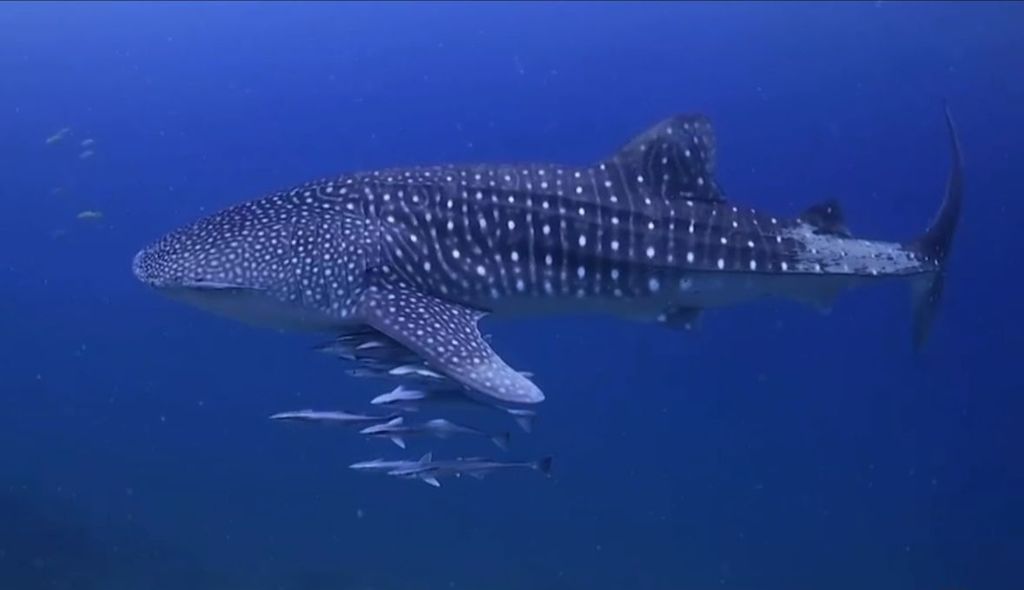 b644b049-99c6-403a-83aa-28d4fa5a8b92