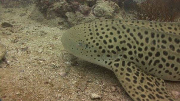 79a2935a-450f-40f3-85c4-7567fbf7b0a0