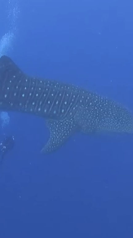 a22bea25-b143-4533-9201-555b2dfa7b4c