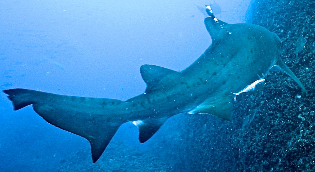 f630361e-526d-4098-8608-306a5a7a9d54