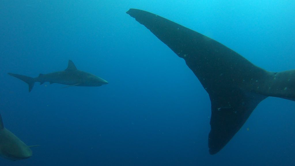 13473264-f267-4f93-8671-6319641573c1