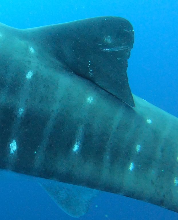 13473264-f267-4f93-8671-6319641573c1