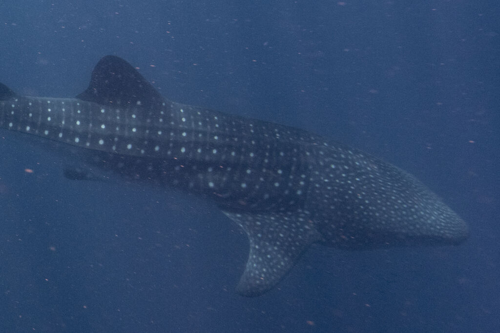 6526bf0d-6917-4eb9-9011-e36874d0ee4b