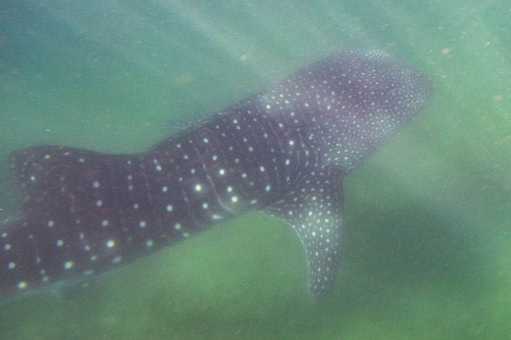 6519f4aa-99b7-4f42-90e3-9e2ada312394