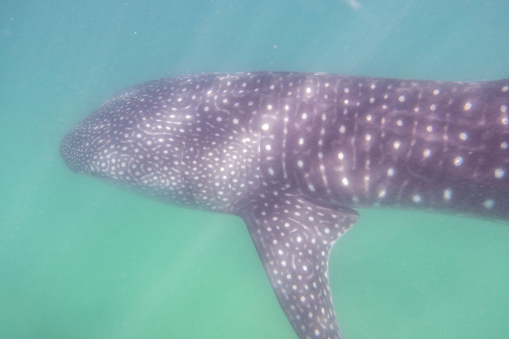 6519f4aa-99b7-4f42-90e3-9e2ada312394