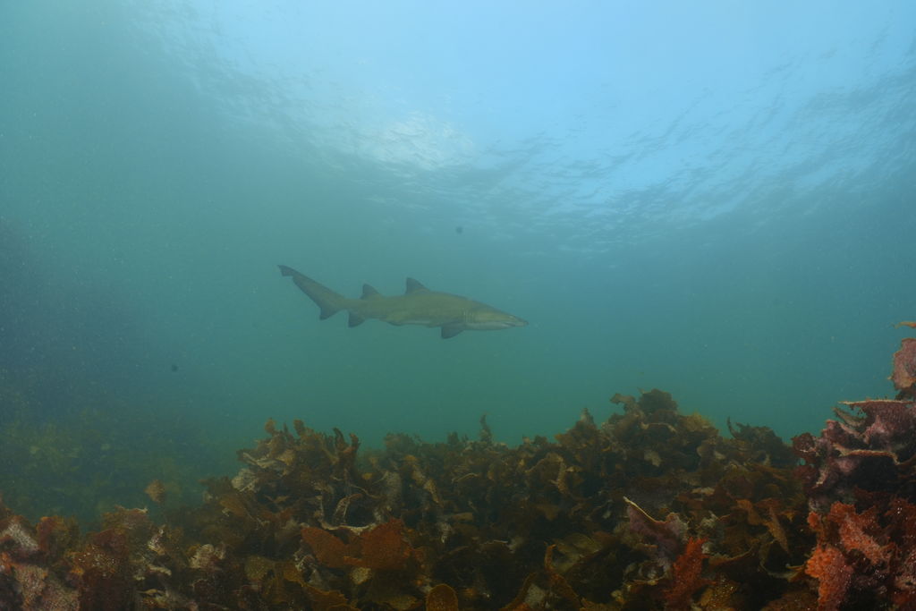 663690a9-b6be-47ff-a49a-cb55f871348b