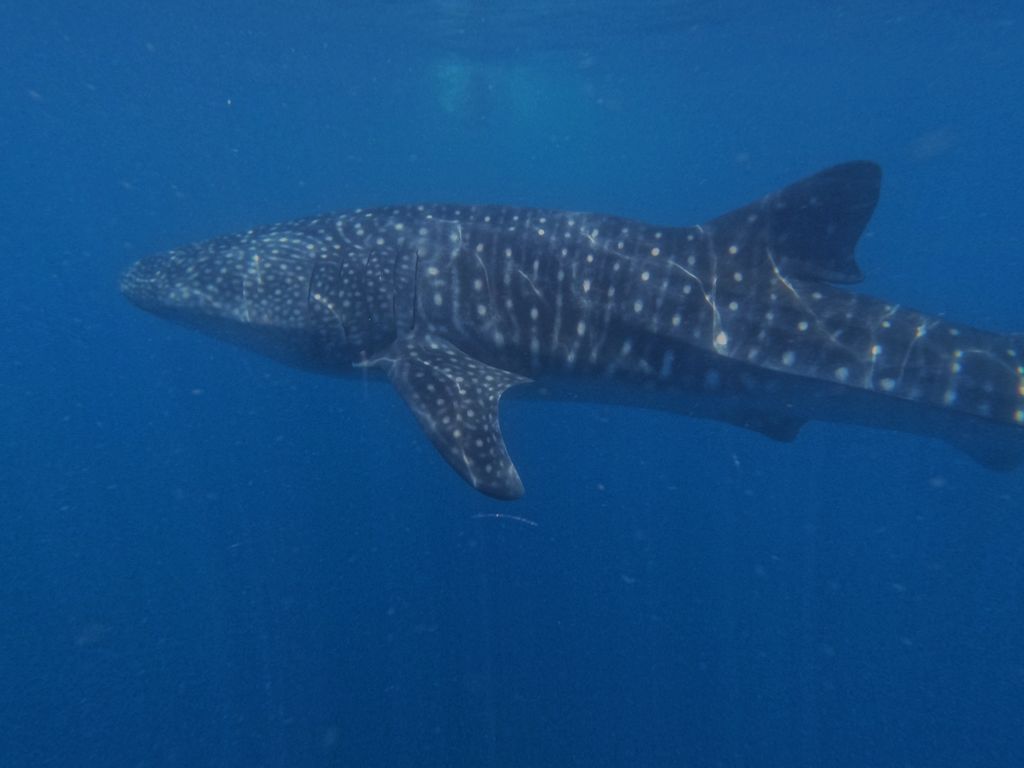 db8bb55e-8686-42ef-b06a-3e5e70613868