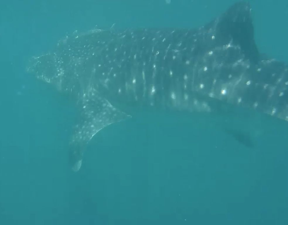 d9e7cbf5-65dc-4be7-8327-492894f310c0