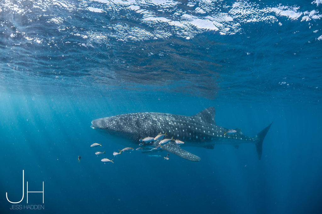 512222a7-26af-4539-aaf7-0e0dfe3cc001