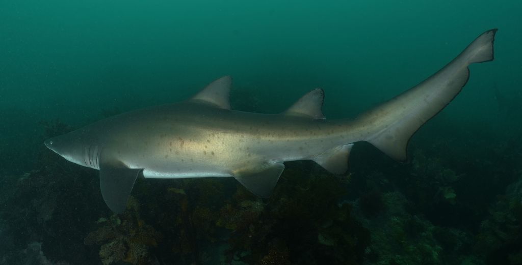 47f845bf-6629-4e45-963f-621e4a6c8664