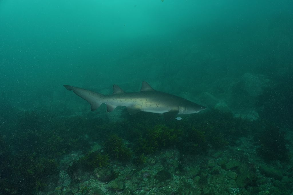 22ea09bc-fb68-4778-bc85-8ea08b7dfd88