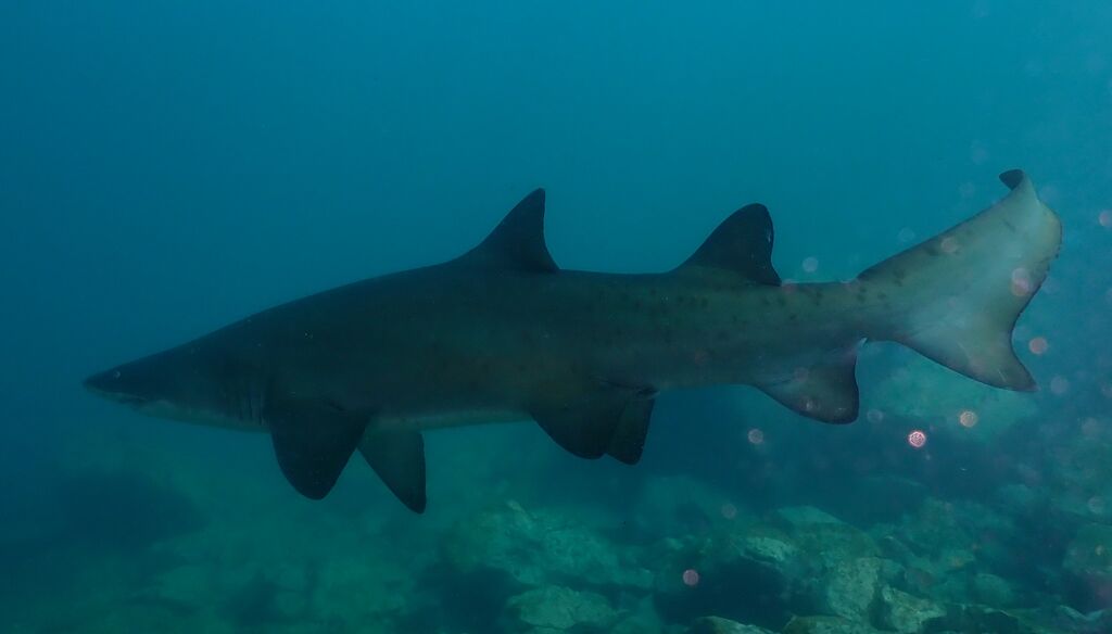 826e55a3-d9d2-4039-ae3a-4a1a5185eb2e