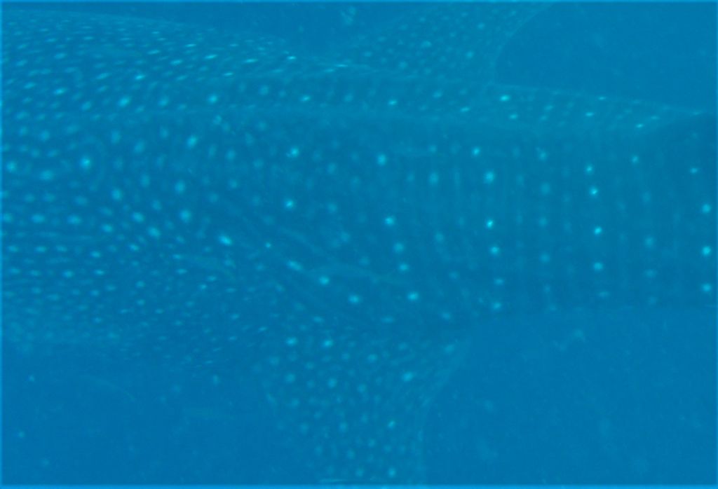 f6454046-c601-41e7-a8b0-b7361d7fd604