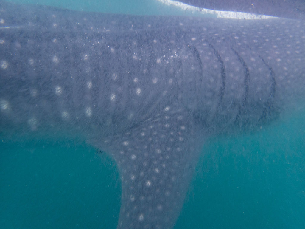 c6e79ed3-24f5-4fb6-8174-2e35315dbdd2