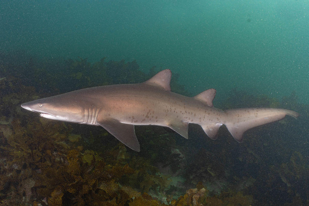 dfc1fa7f-9a71-45ab-bb48-6a5651399946