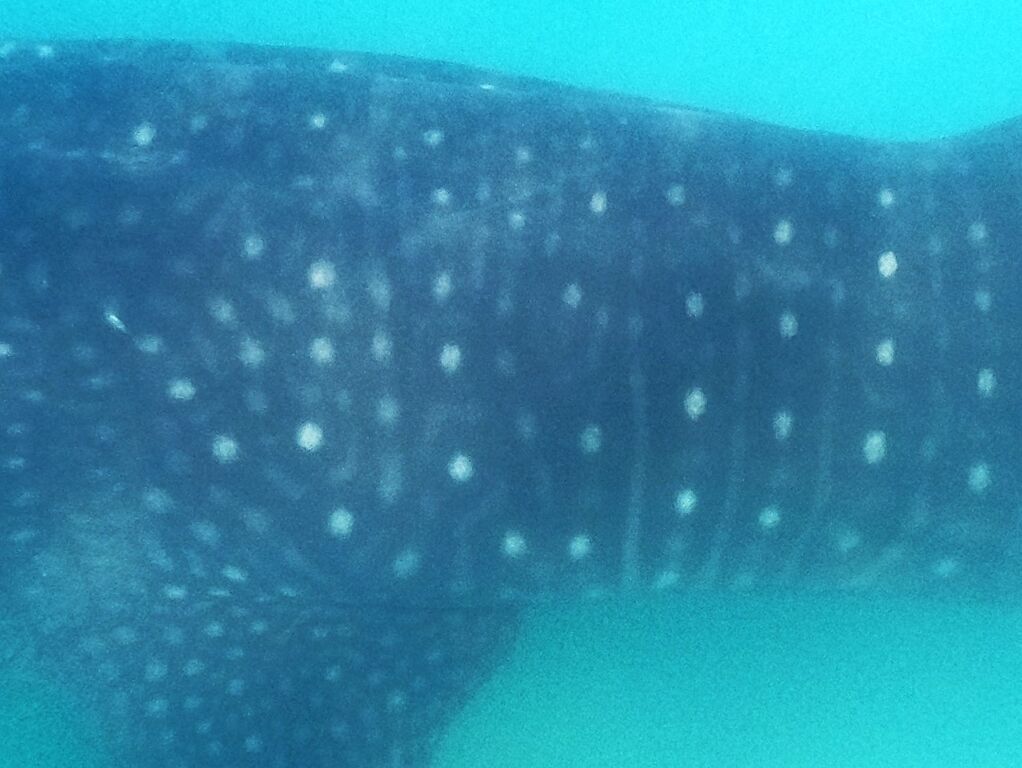 e909c2dd-12e2-4b5d-88f7-9e693dc25fdc