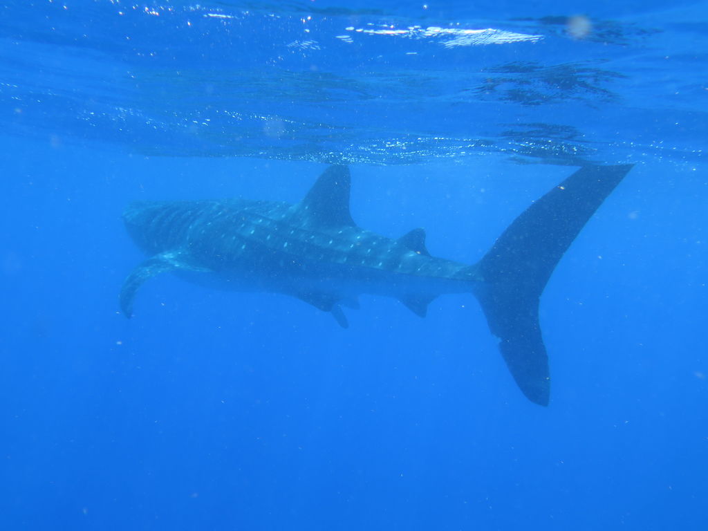 d2f0b738-b6f1-4380-b7f2-a3e566225255