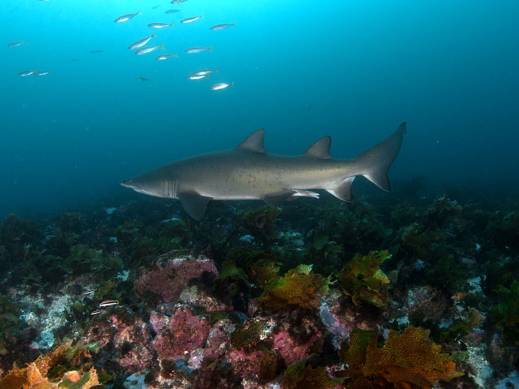 9c7510ca-d173-4c4d-9c03-68ee60120981