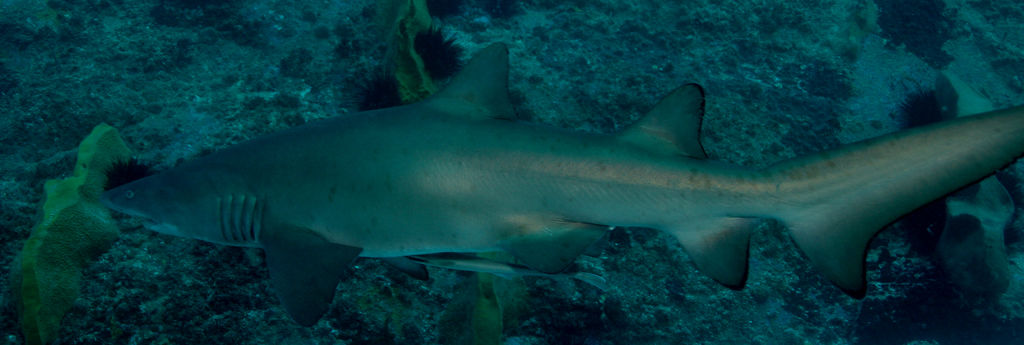 41e41af3-965e-42e7-a066-8aac04413561