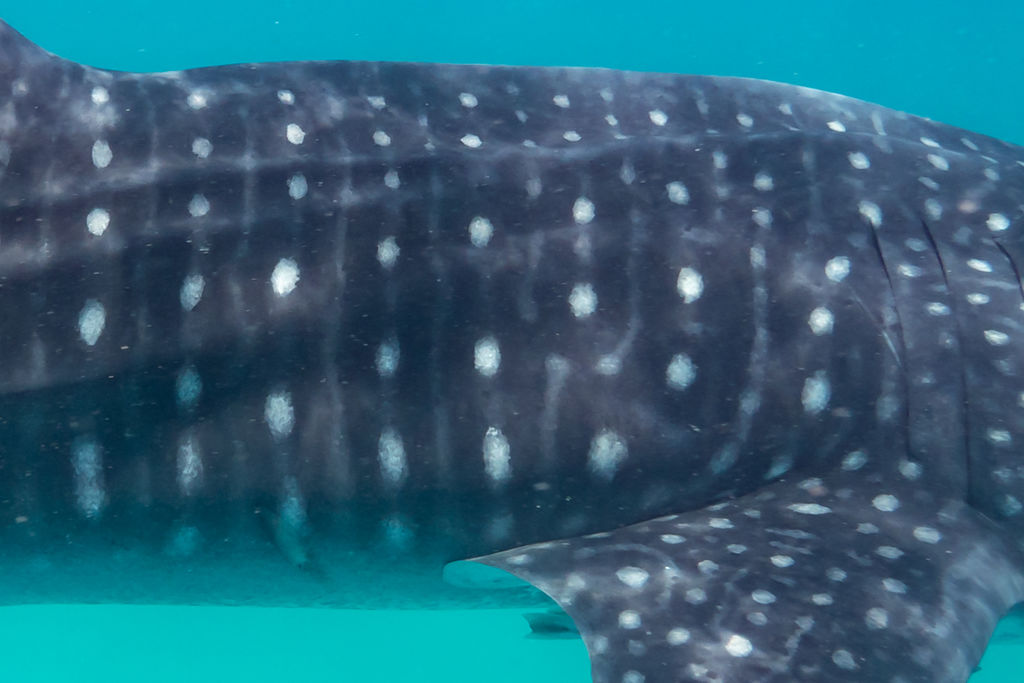 7f30ebd2-b887-4b92-93f7-3b0fa1dc52cc