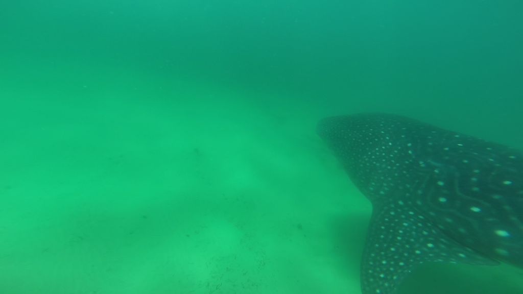 a46a1e1a-2935-47ee-a679-7b25d7a10646