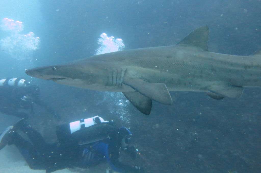 ecbfb8e9-af73-44e5-a0cb-eef308f5299d