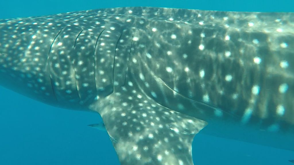 3f81f6f7-45bd-4fc3-bbd3-b090d4162212