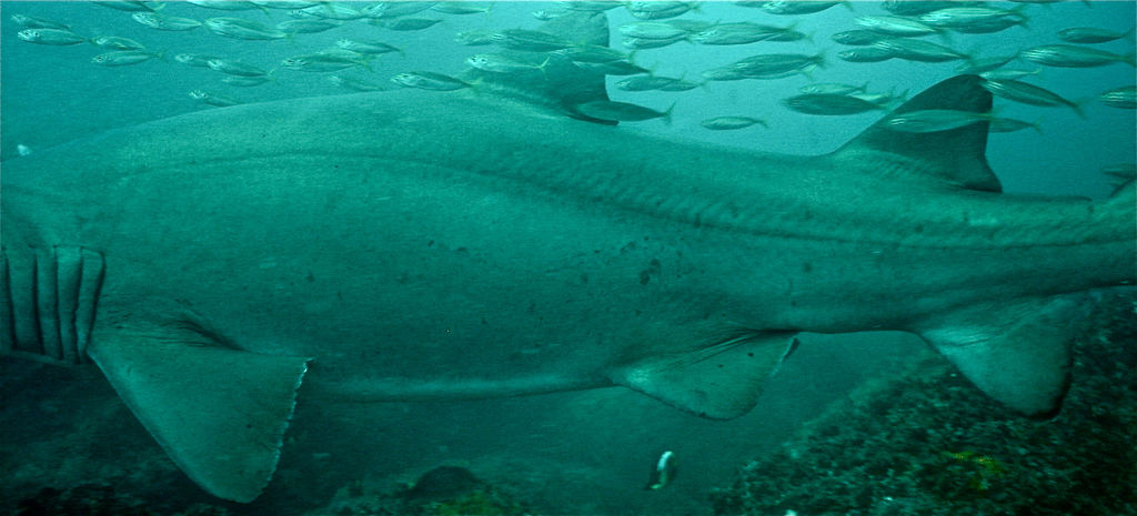 9d10b8e4-b81d-4c16-bd9c-704c4e96ee9b