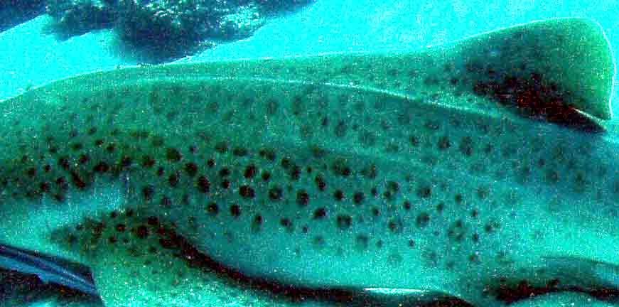 4eda4f73-8b83-4baf-a0d6-049c4f288524