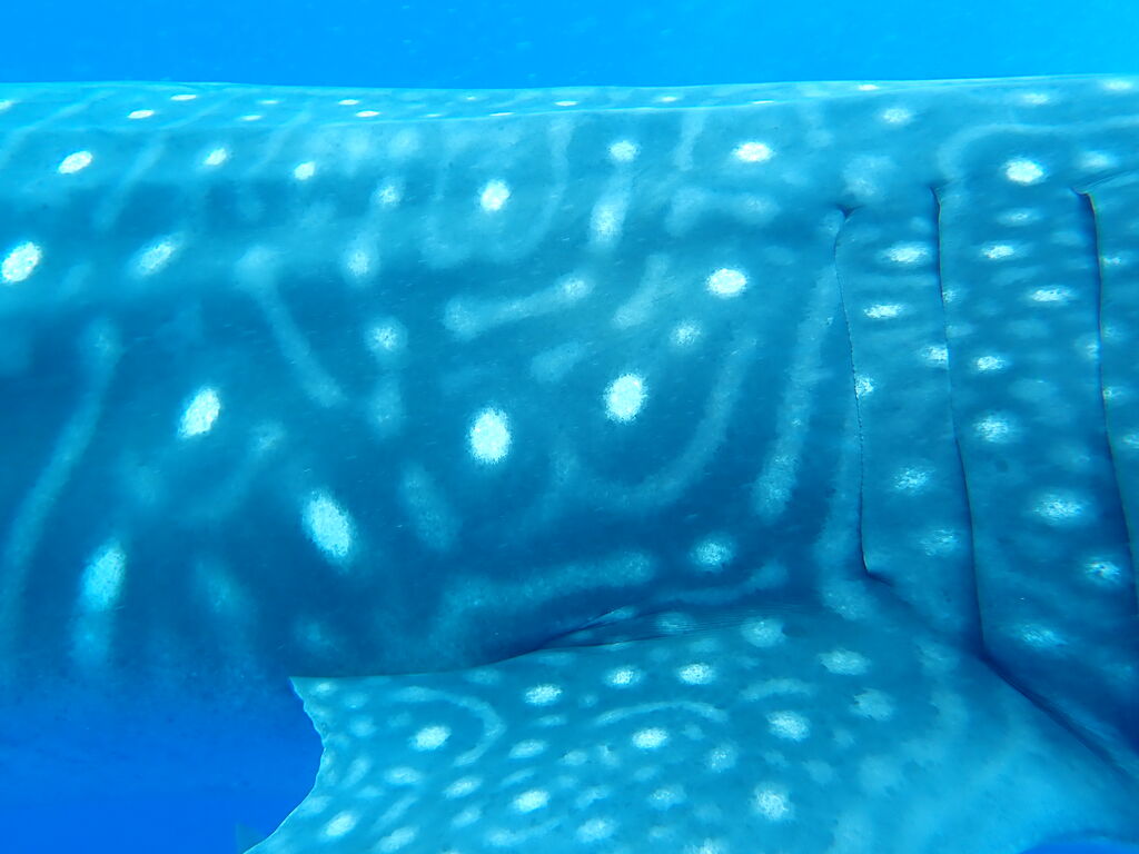 5ec2342a-0a83-43de-96e1-6b640228bd25