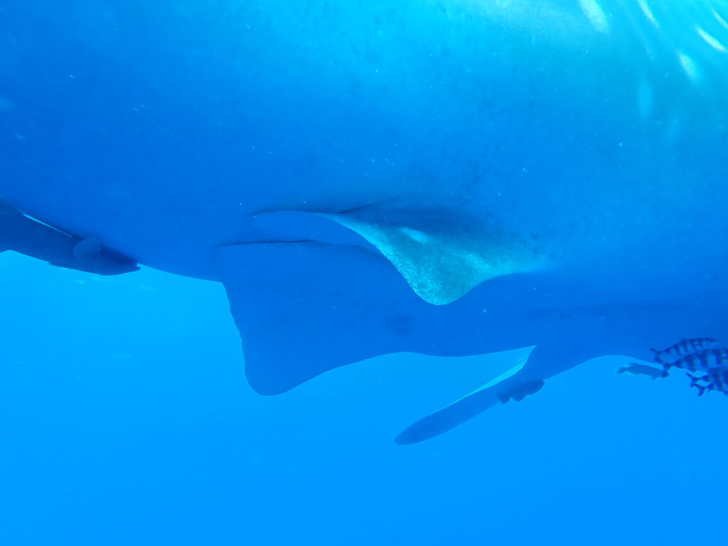 5ec2342a-0a83-43de-96e1-6b640228bd25