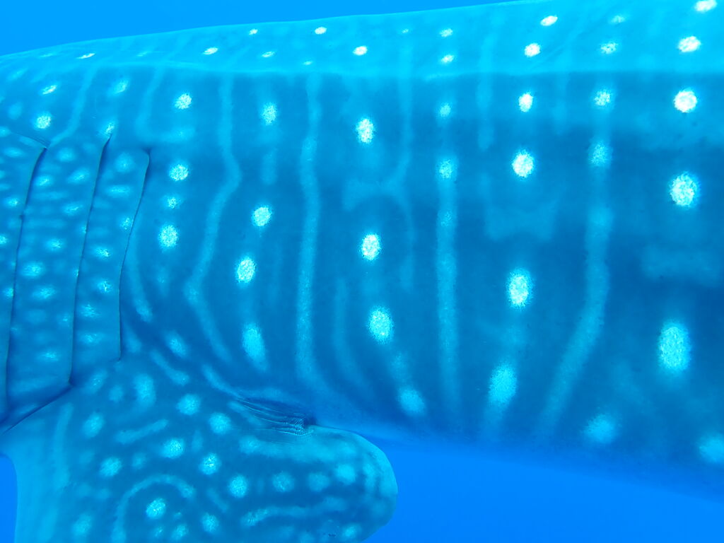 5ec2342a-0a83-43de-96e1-6b640228bd25