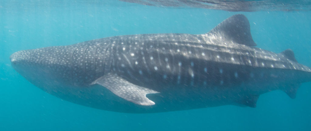 3dee0969-d870-49d1-b67a-a007f2d19687