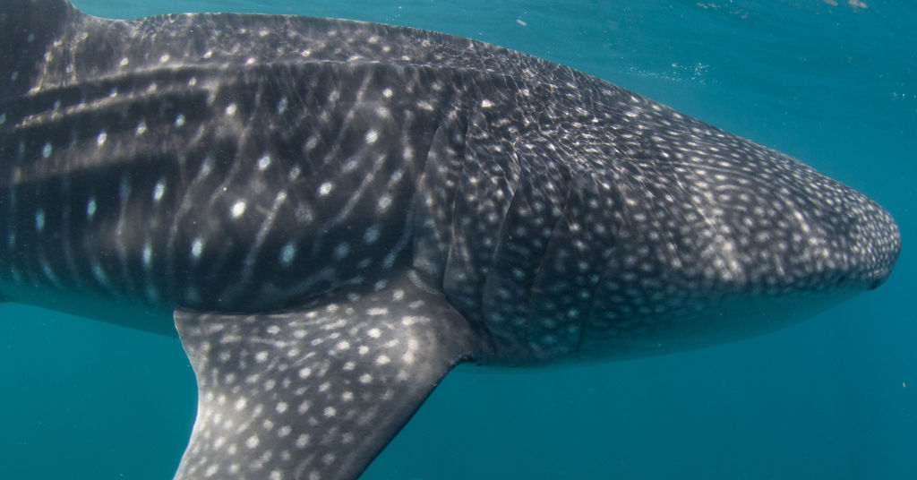 3dee0969-d870-49d1-b67a-a007f2d19687