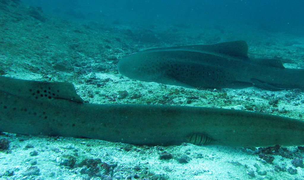 2b4ba6d7-7cbf-400c-9fc4-a149233aff40