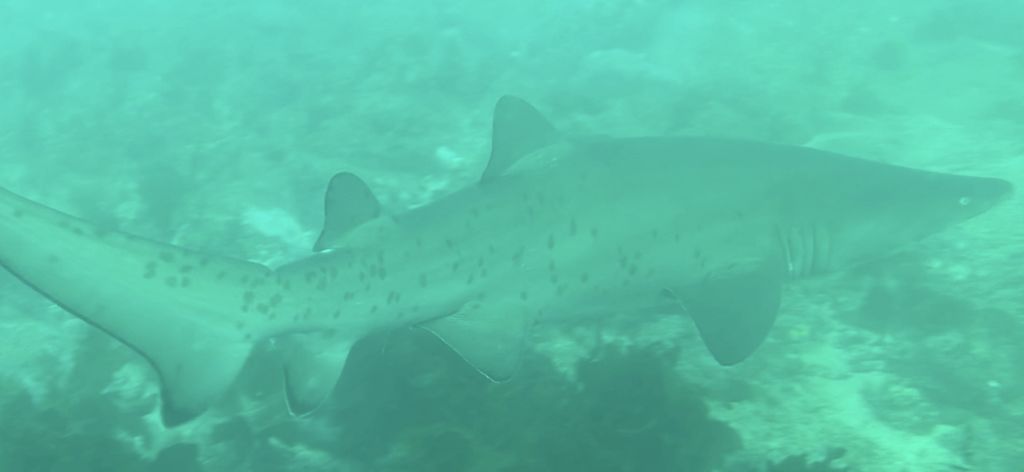 22ea09bc-fb68-4778-bc85-8ea08b7dfd88