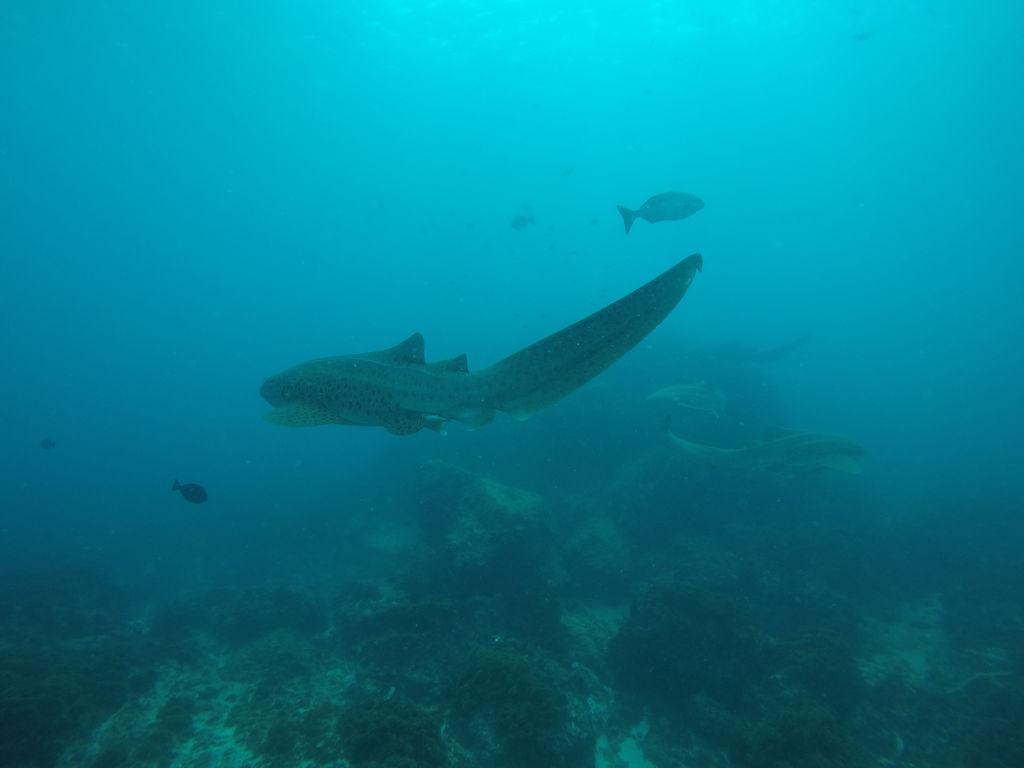 182e87b2-408d-441c-91d3-6d676711e747