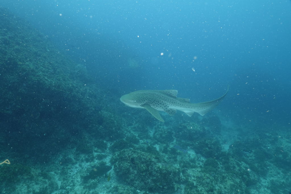 f94b10c7-70ed-4c9c-a2bc-8e44ba2c0cd6